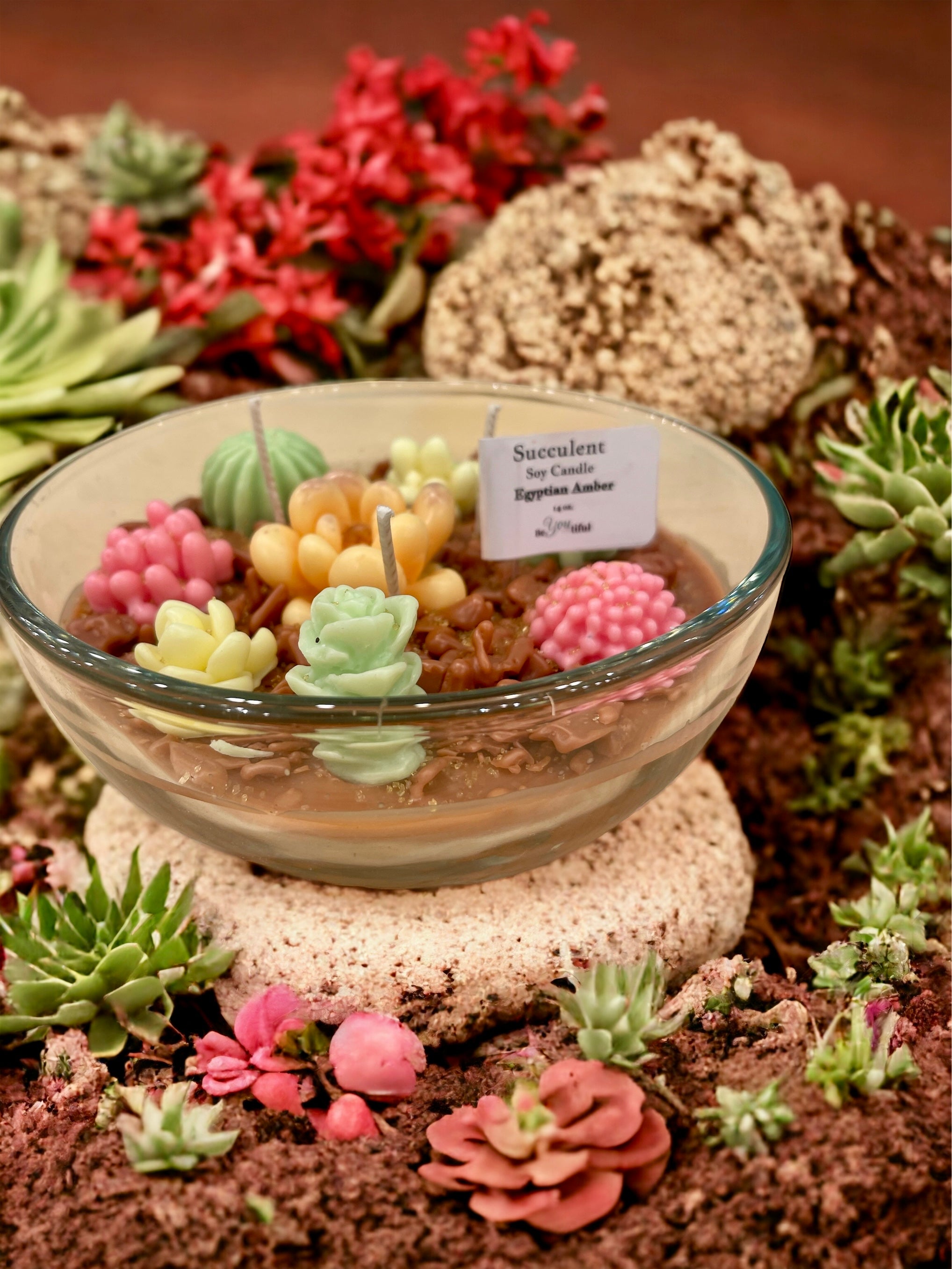 succulent candles Succulent Candles