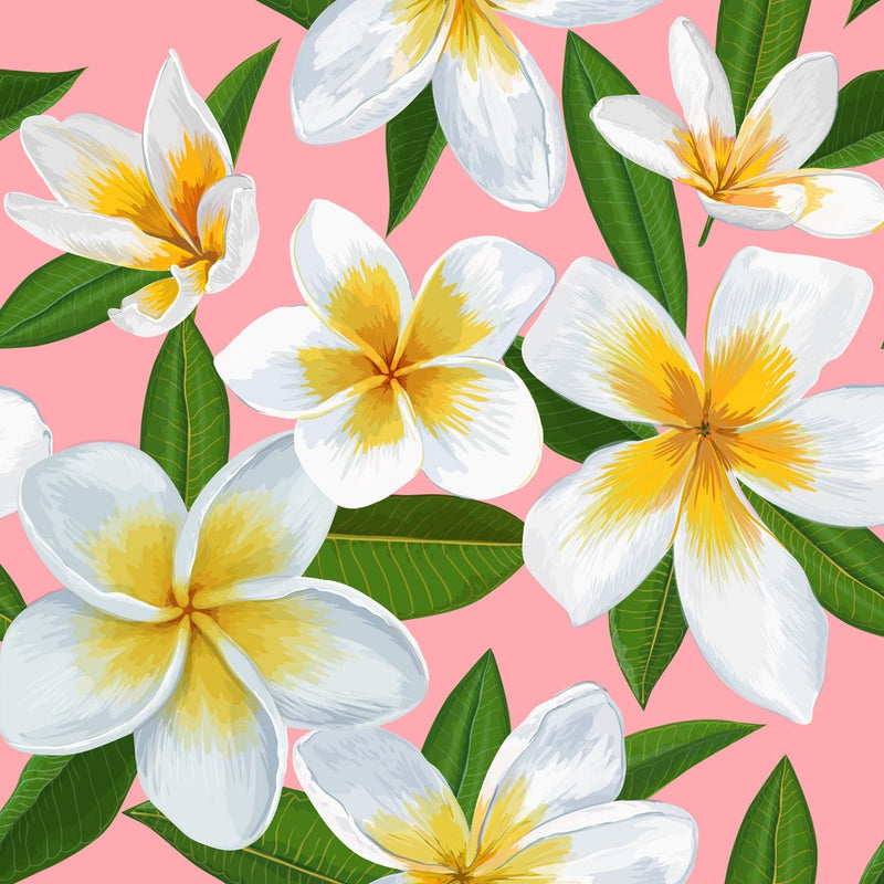 Plumeria Mini Bomb Packs Or Bomb In A Bag