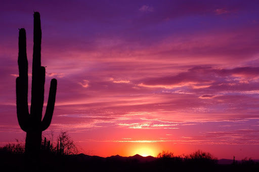 Desert Sun Bubbling Bath Salt